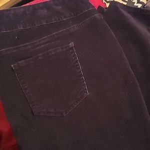 Kim Rogers Curvy Pants